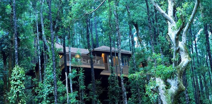 5-nights-6-days-mangalore,-chikmagalur,-coorg-and-mysore