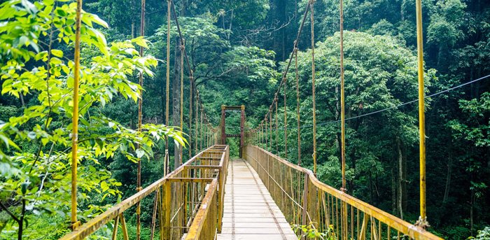 6-nights-7-days-bangalore,-ooty,-mysore-and-coorg